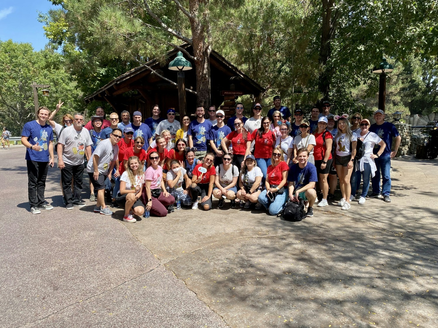Annual Team Disneyland Trip