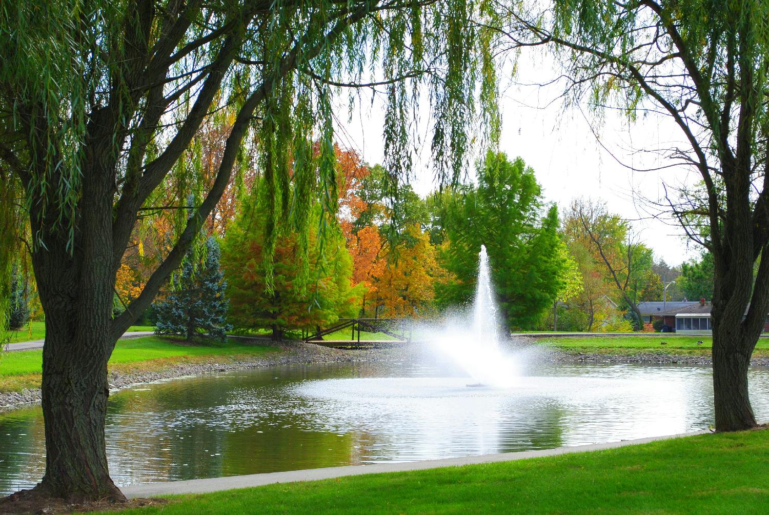 A view of the pond on campus at the beginning of autumn.