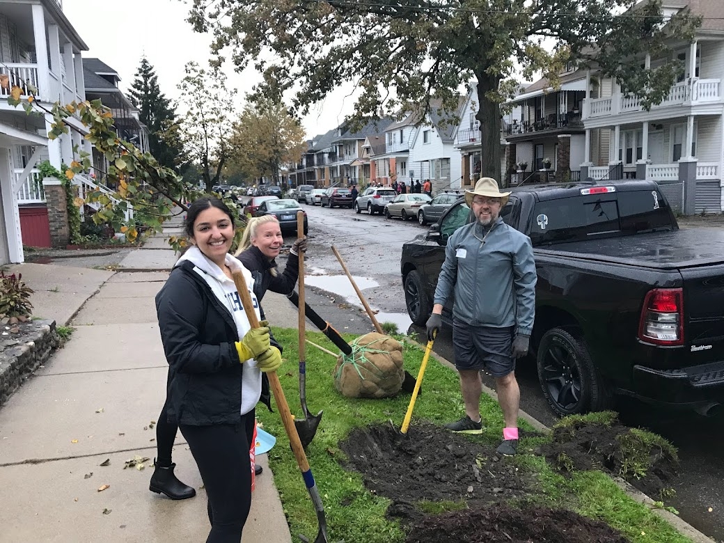 Greening of Detroit
