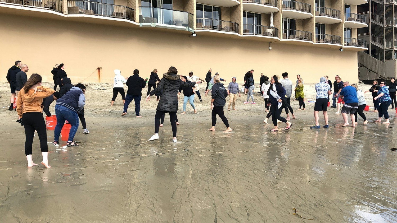 Celebrating our team in Illinois!