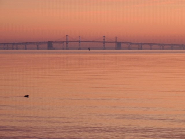Sunrise View of Bay from Pier