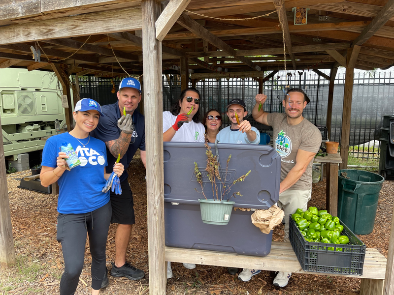 US employees planting trees.