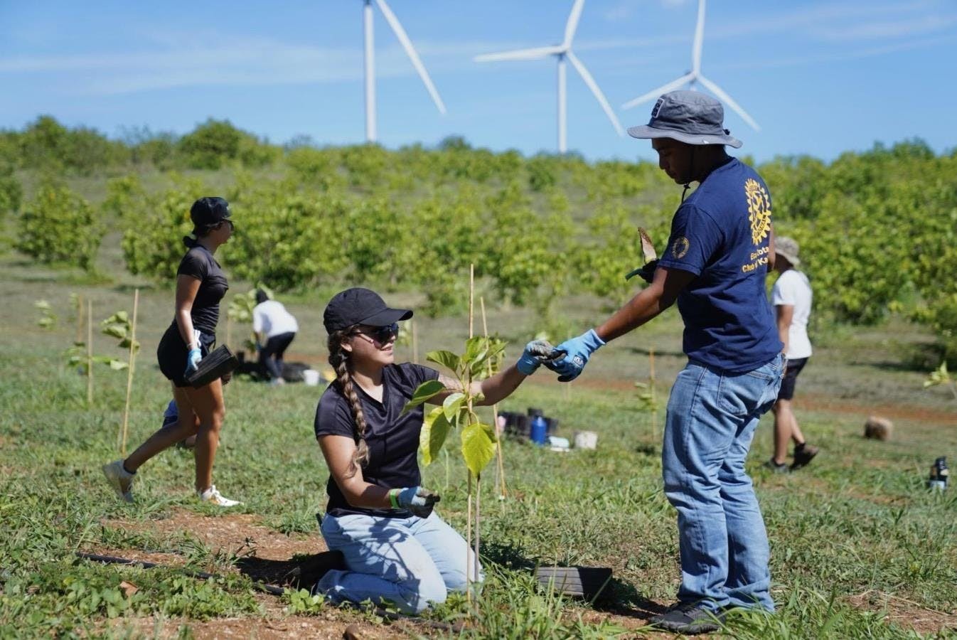 Honolulu team members spend a volunteer day planting native trees on Oahu to restore lost habitat. 
