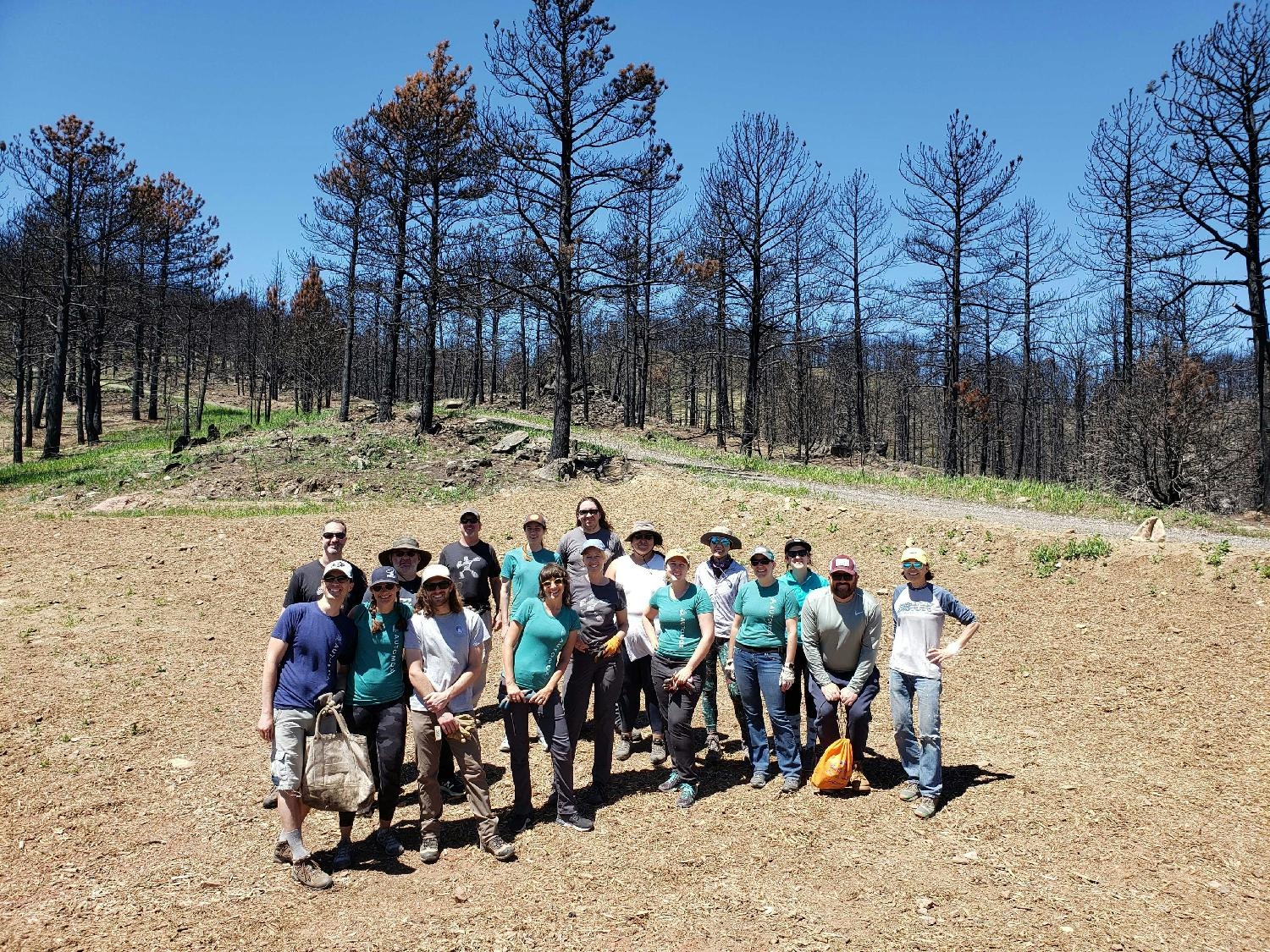 Our Colorado teammates volunteered with One Tree Planted to help restore the Cameron Peak burn area. 