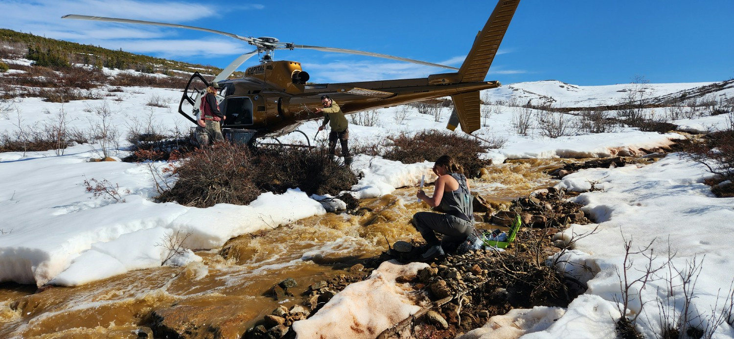 Helicopter work