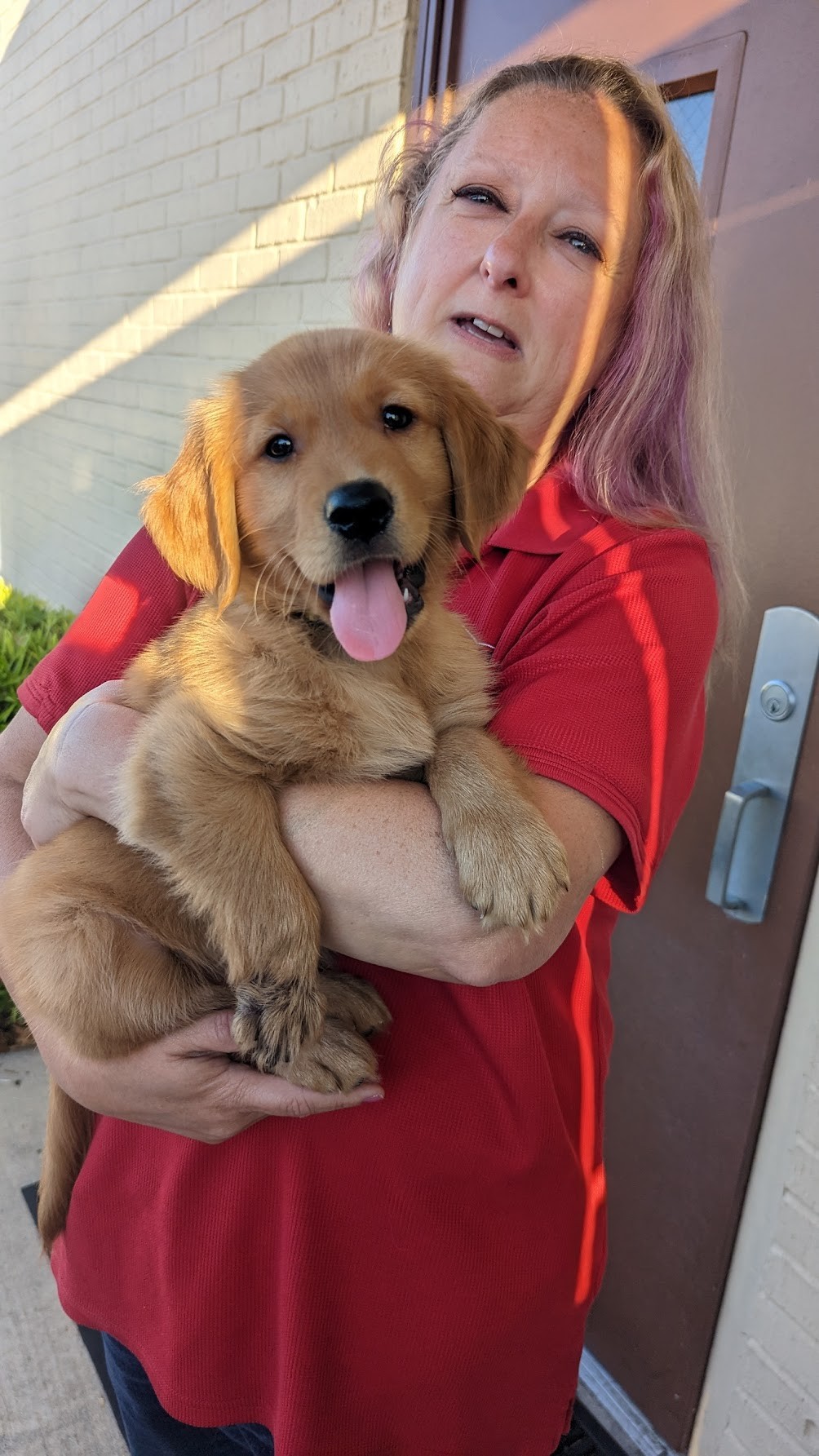 Puppy Fridays in the Office!