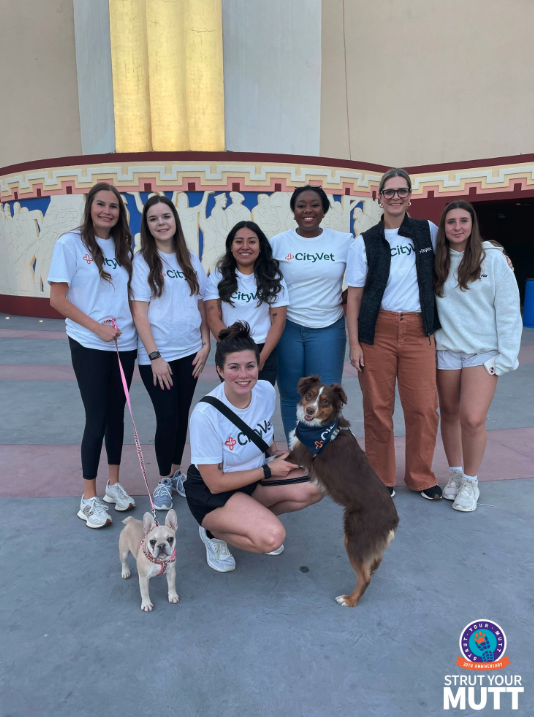 CityVet clinic team at 