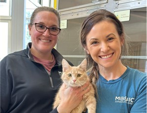 Two of our team members volunteered at a local animal shelter as part of our community service initiative.