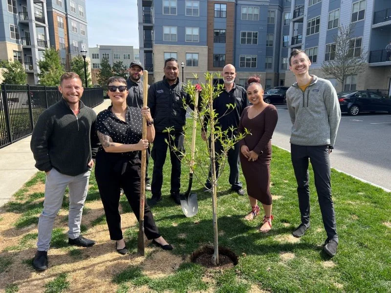 Boston Team Plant a Tree