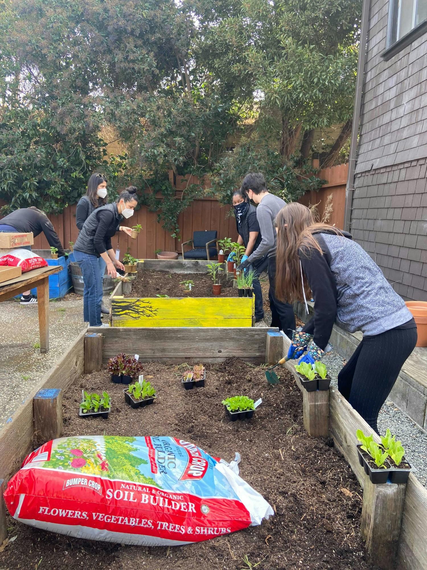 The Paradigm team spends time volunteering for the Berkeley Food and House Project Organization. 