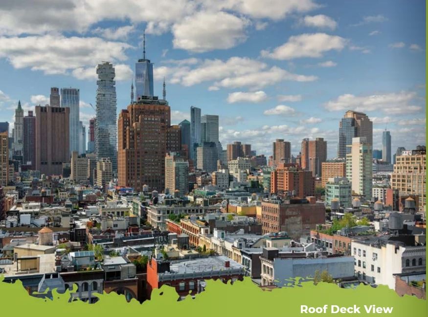 View from the roof deck of the New York City Office 