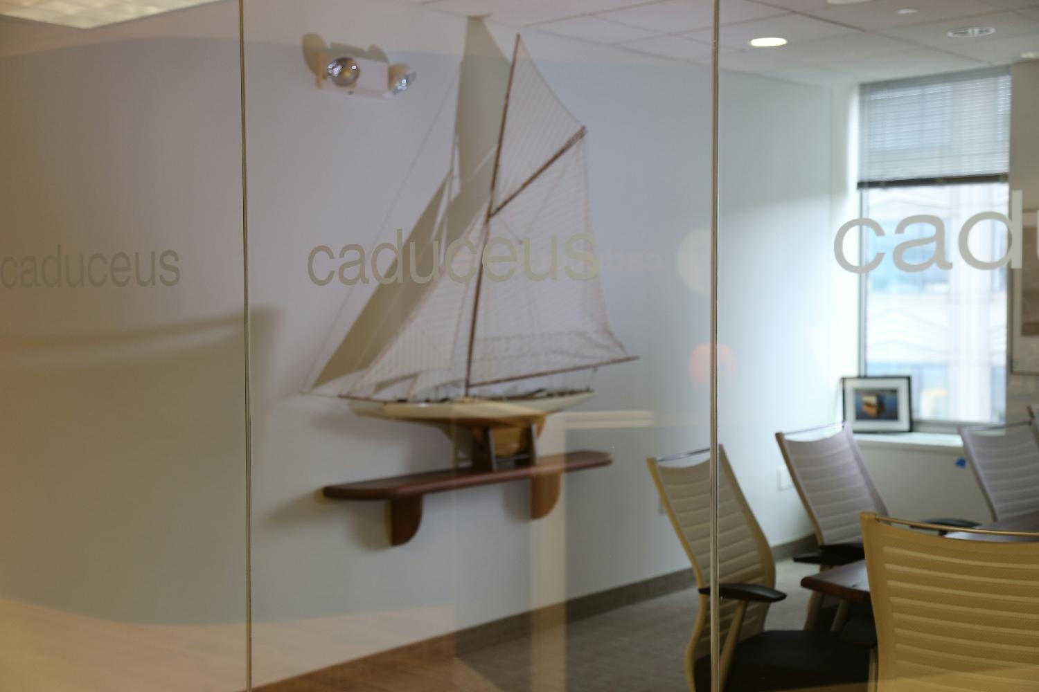 CaduceusHealth Conference Room