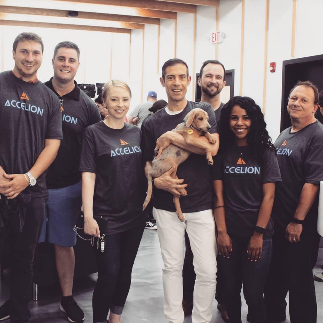Accelion Sponsored Pet Adoption