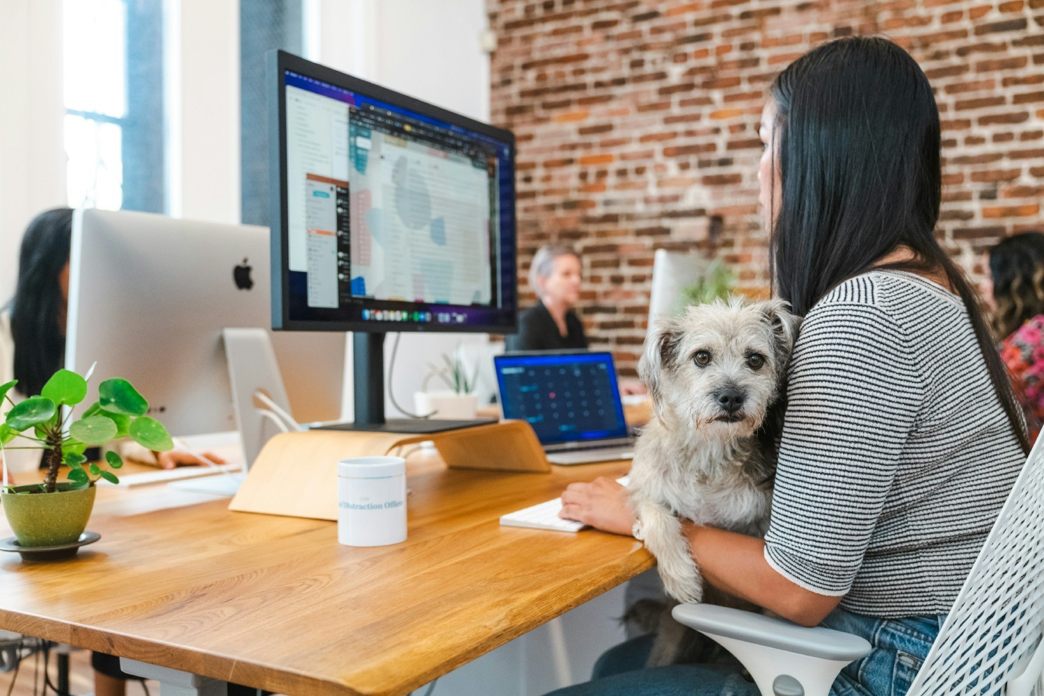 Office pup hard at work