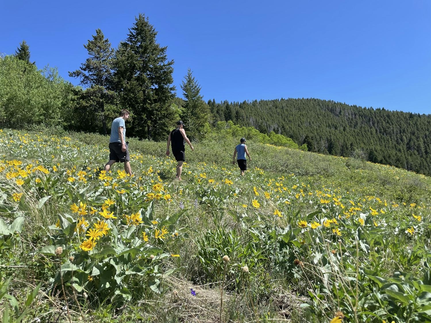 photo from our leadership retreat hike in Bozeman, MT