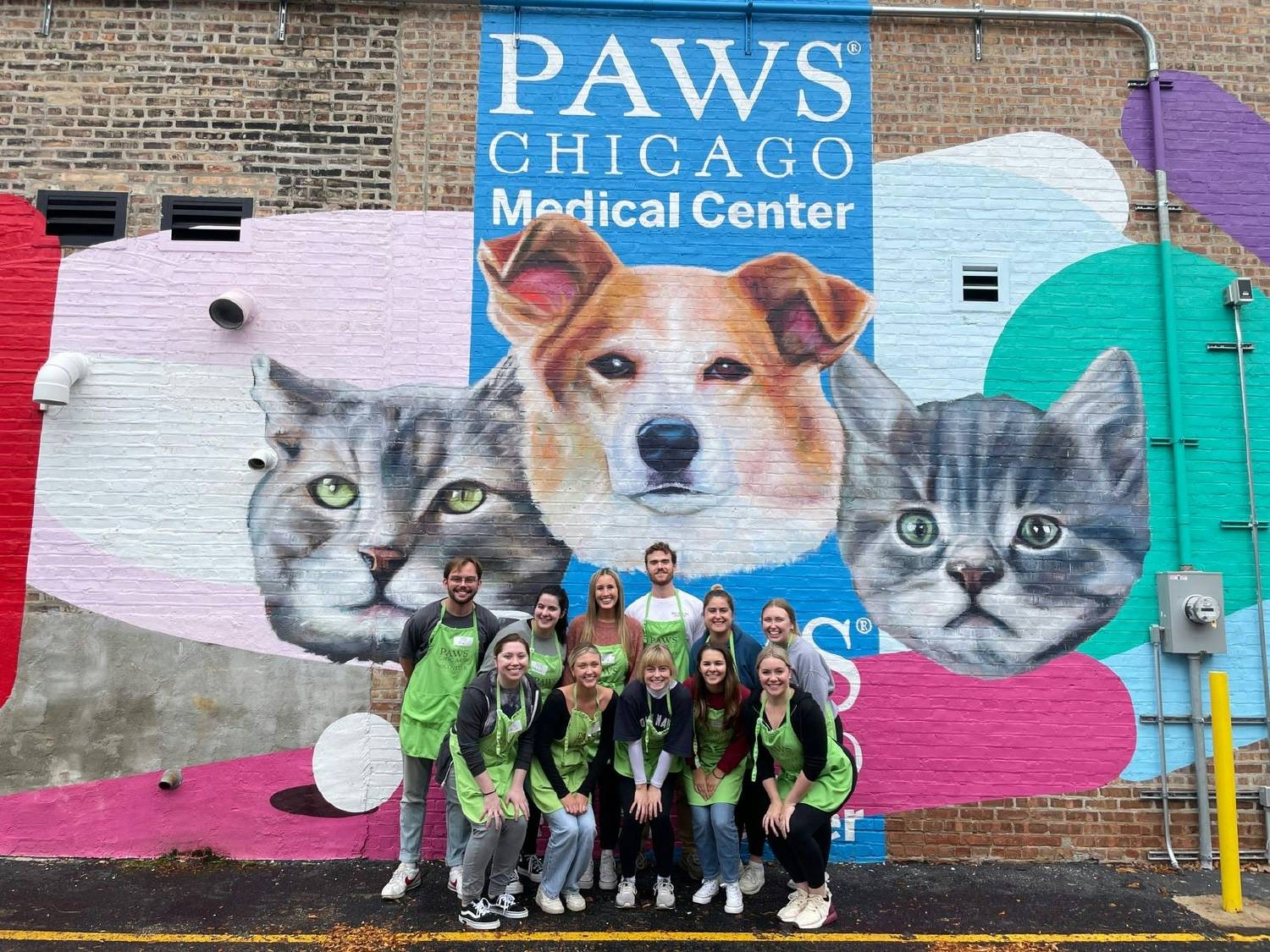 The Chicago team using their VTO to help out at PAWS Animal Shelter. 