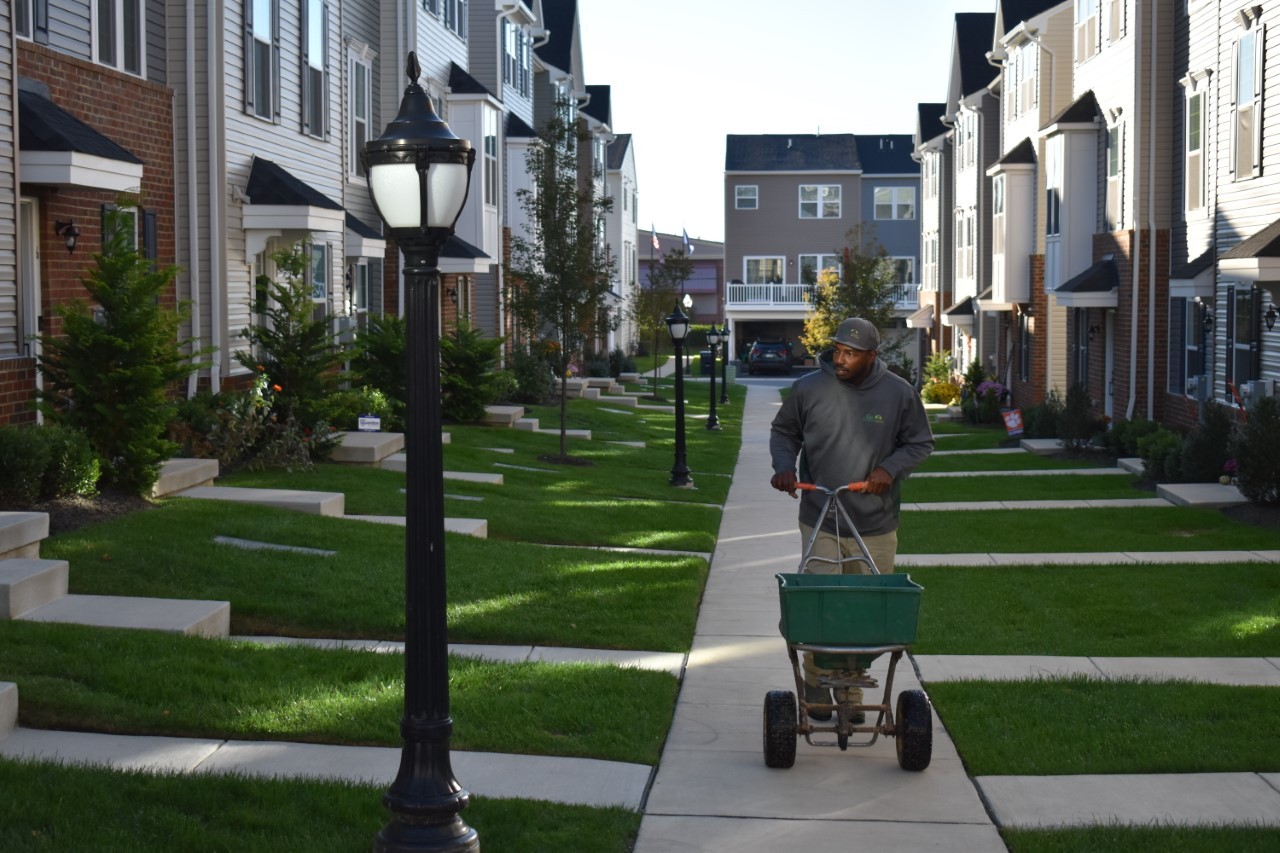 Joe is preparing to seed a local HOA community. 