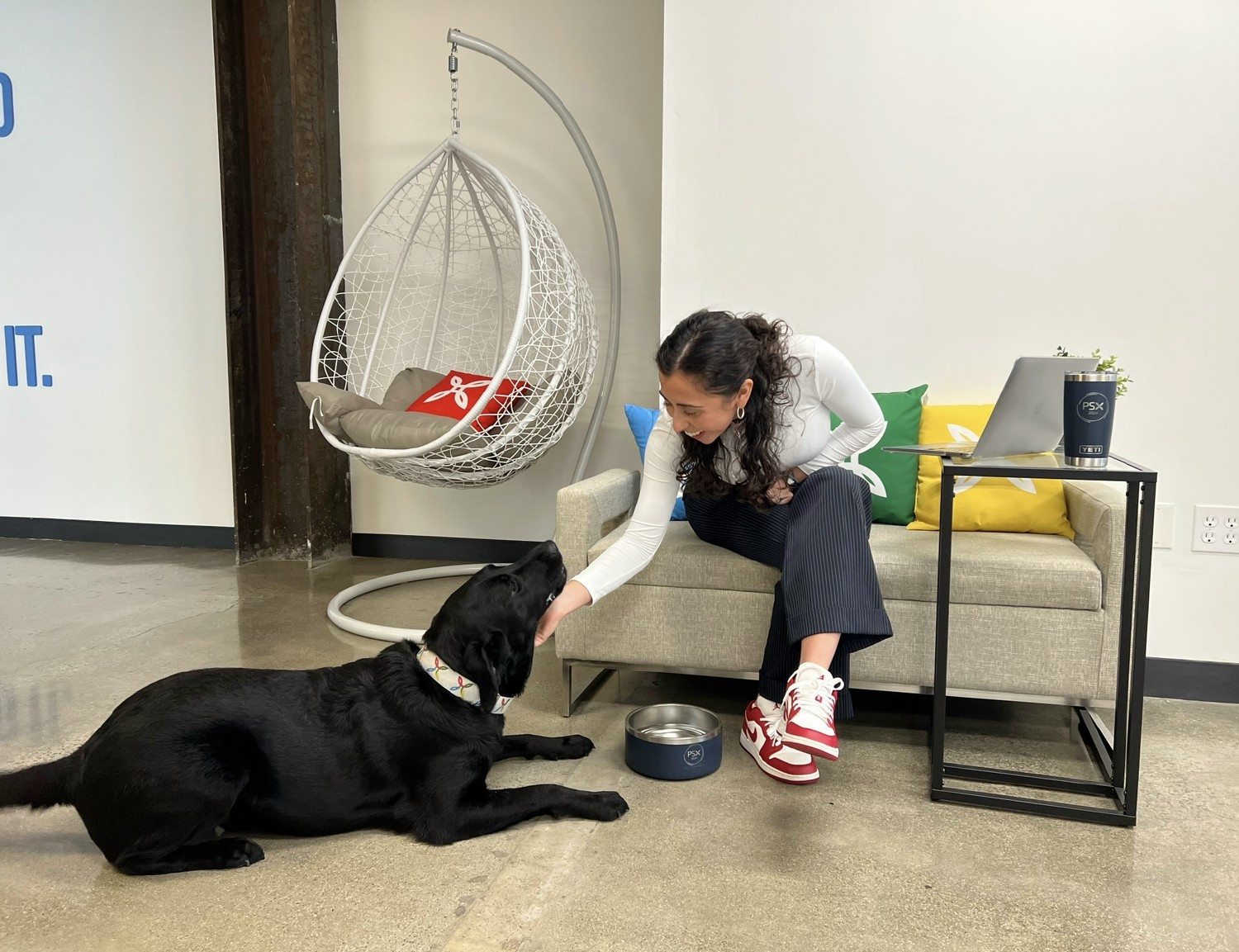 Our dog-friendly office