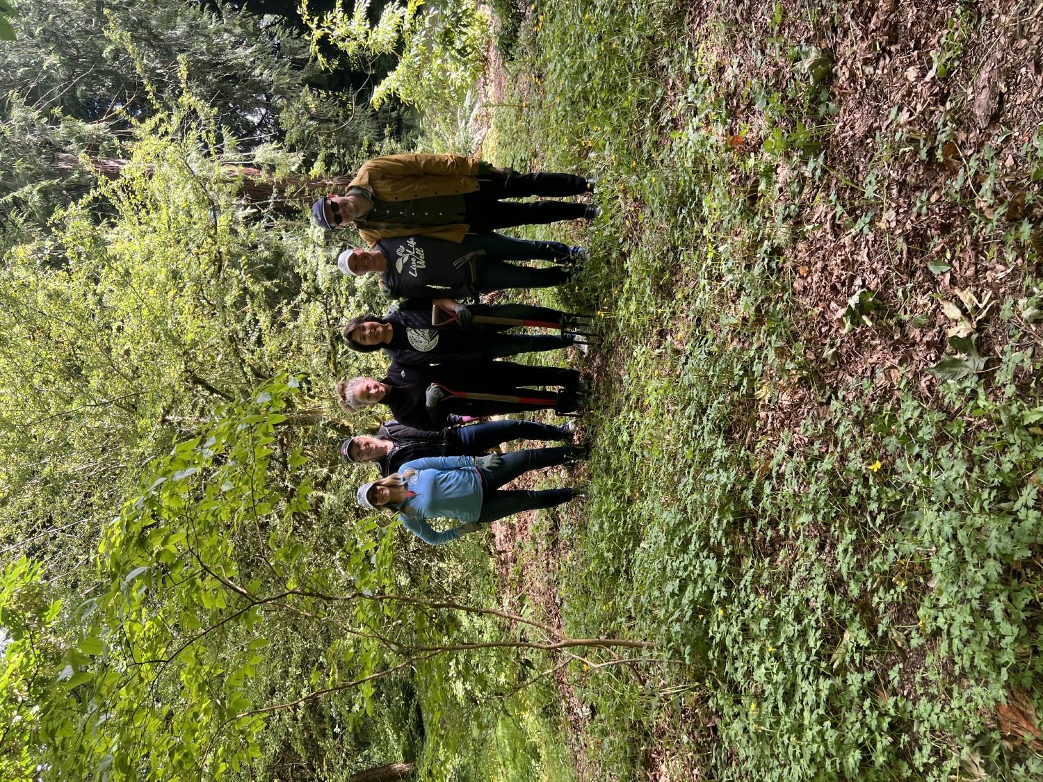Our Northwest team members volunteering at the Seattle Arboretum
