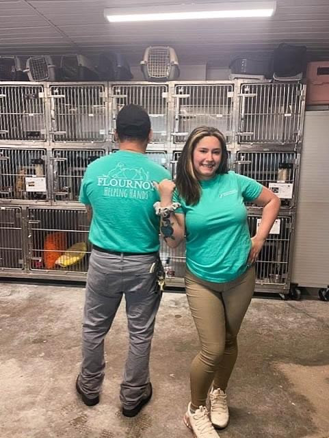 Volunteering at local animal shelters.