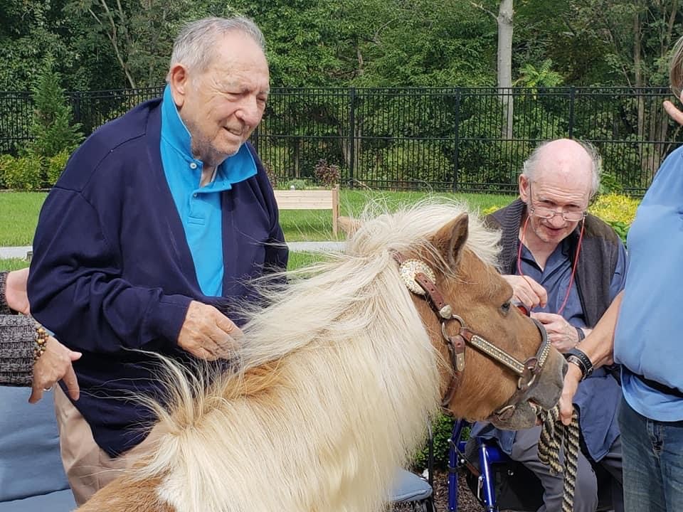 Animal therapy, like music therapy encourages social interaction and helps reduce isolation.  