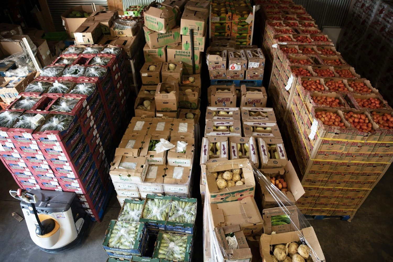  Food Forward’s warehouse full of fresh, nutritions produce. 
Photo credit: Image courtesy of Food Forward Inc. ©2023.
