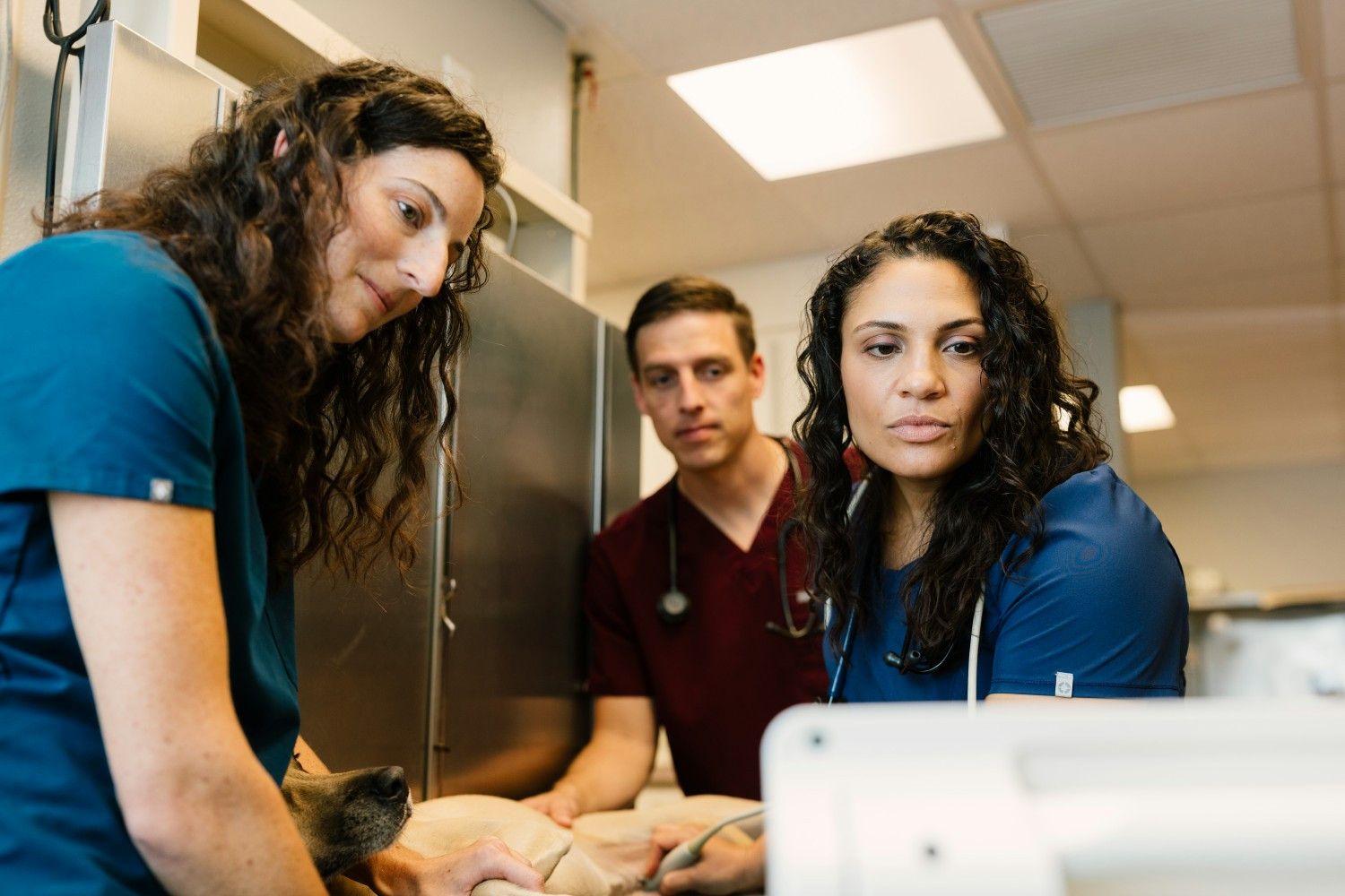 Dr. Marisa Brunetti, Chief Veterinary Officer, on the job.