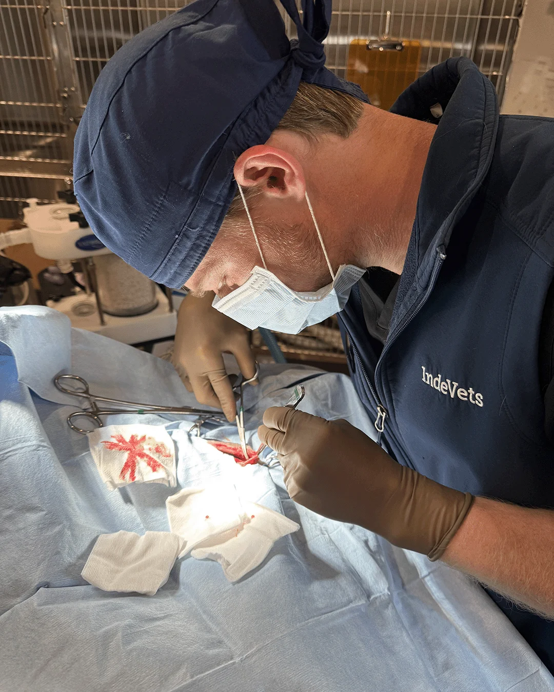 One of our IndeVets showing off his surgery skills