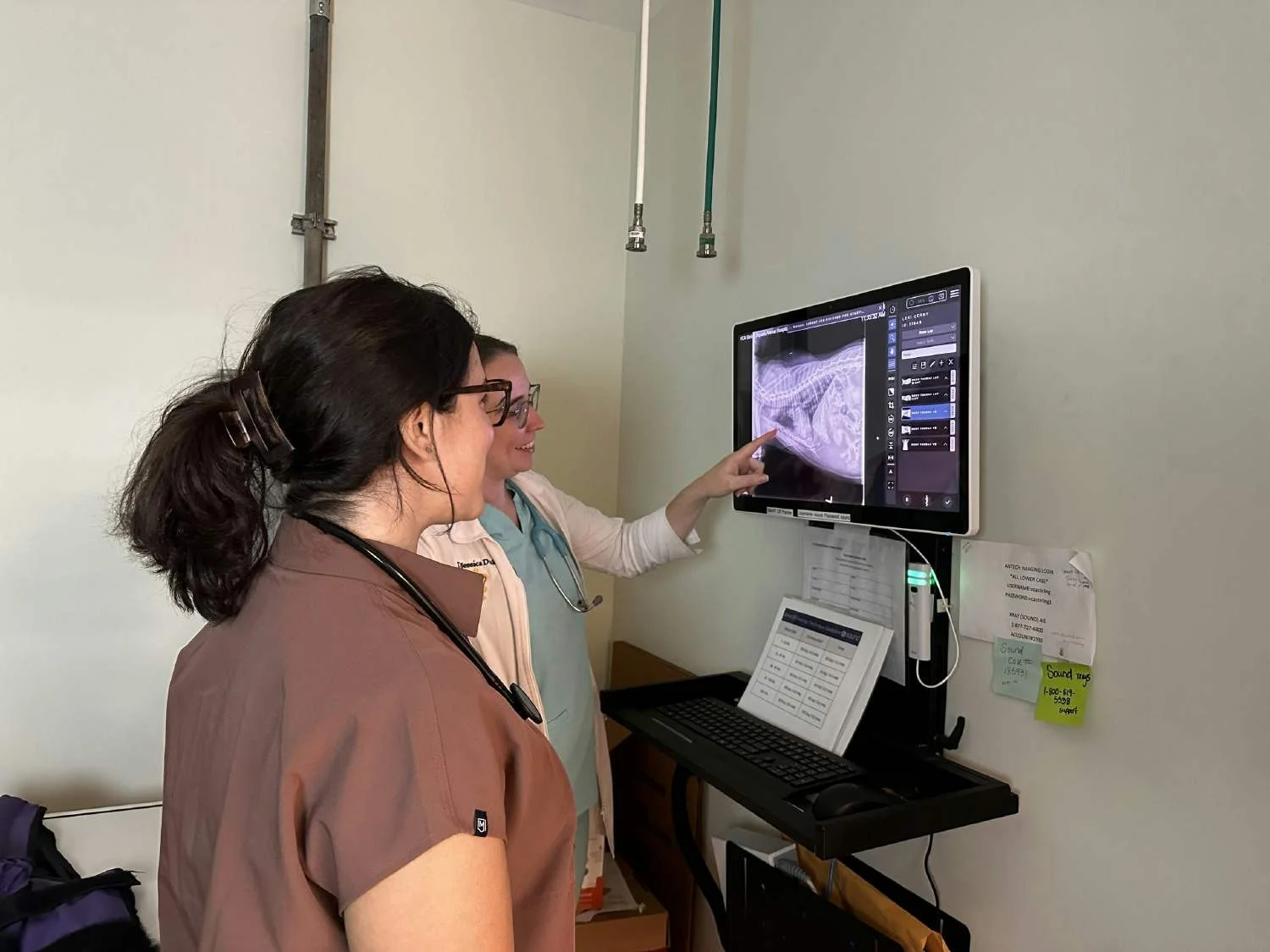An IndeVets mentor and mentee review radiographs together in clinic