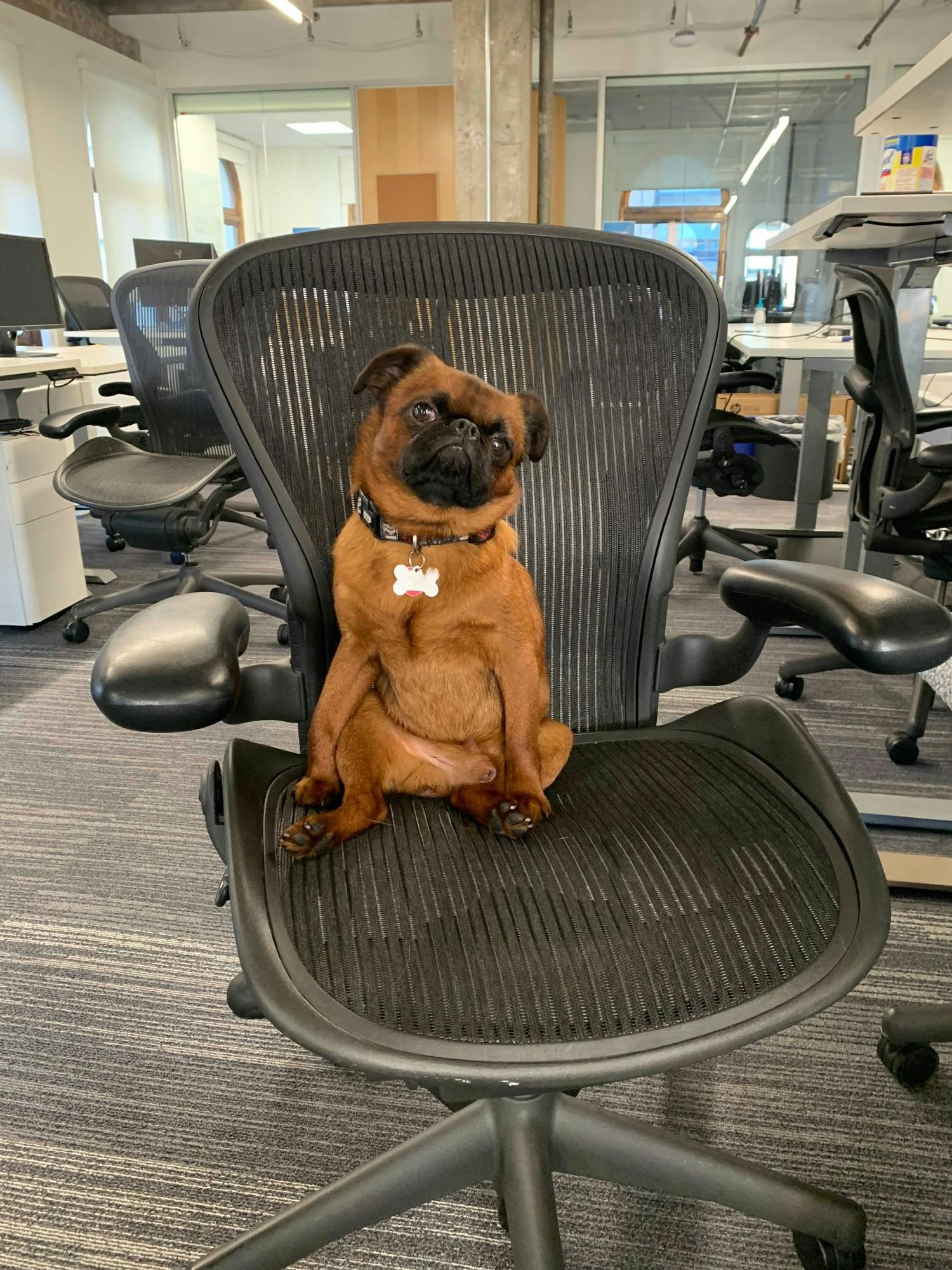 Charlie, our SF office manager.