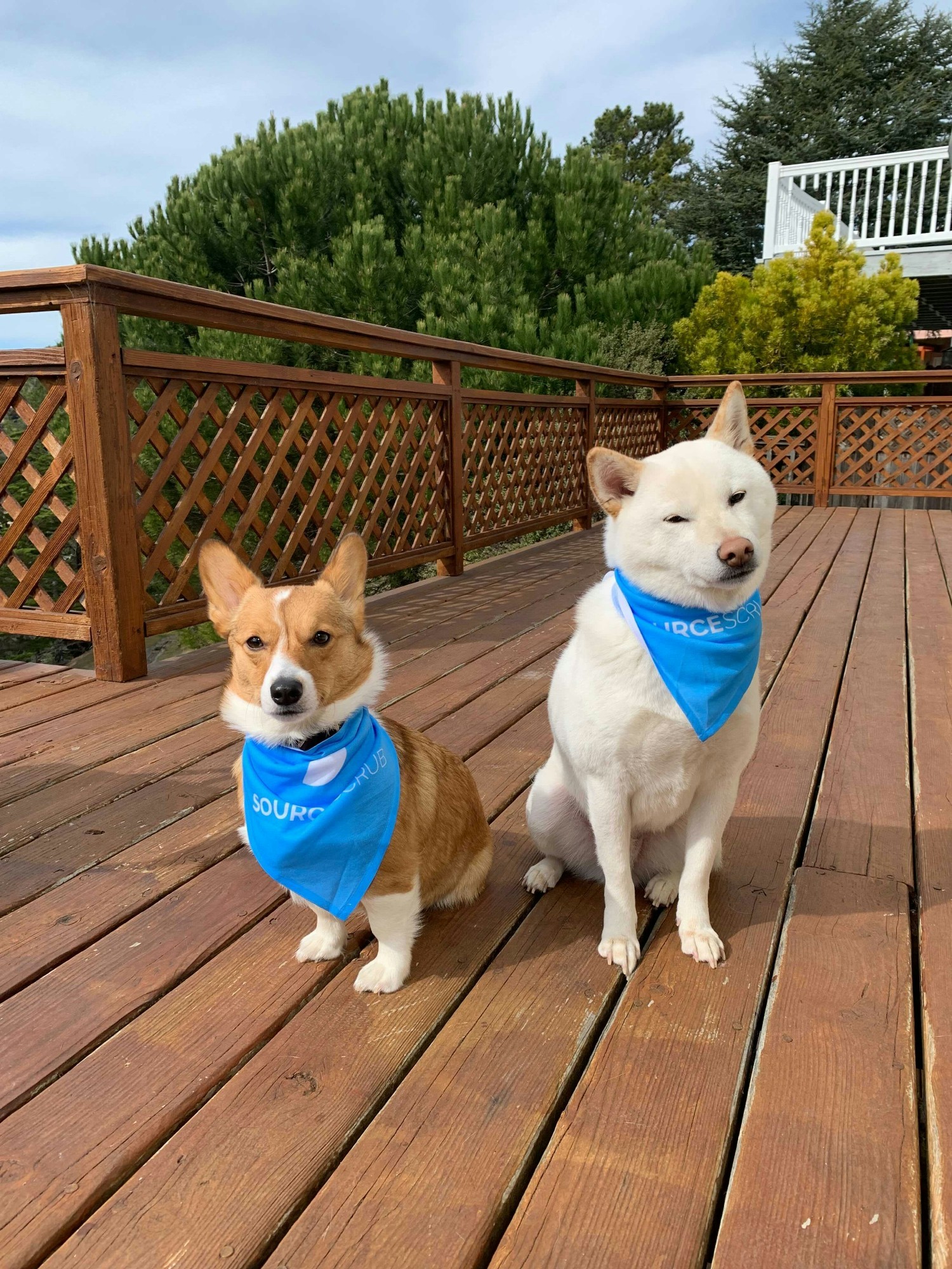 Popcorn and Ez showing off their new swag.