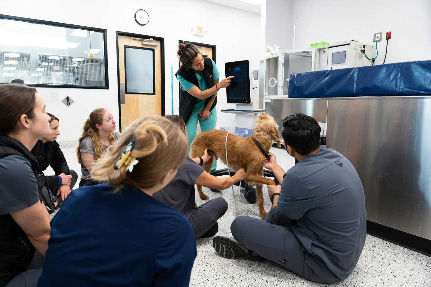 Criticalist, Dr. Arbona going over an ultrasound with team members 