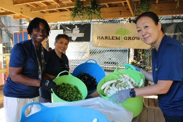 ESRT colleagues volunteer with Harlem Grown for a day of urban farming and community impact.
