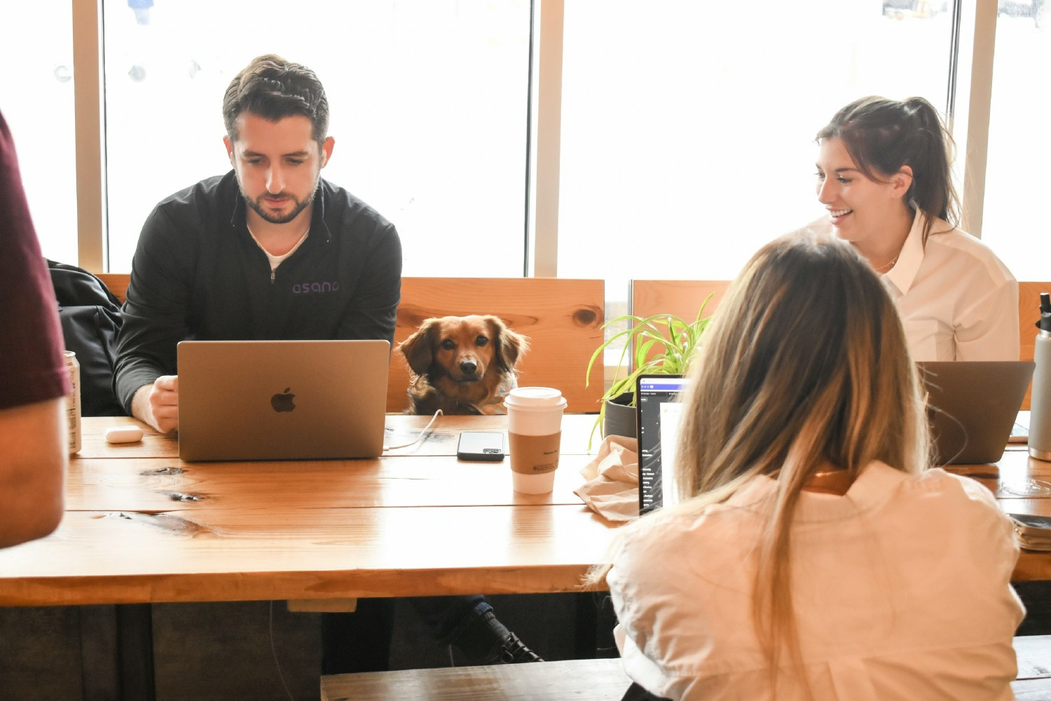 Osanians + pups during our 2024 GTM offsite in Austin 