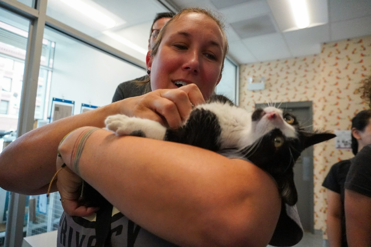 Osanians volunteering at the Anti-Cruelty Society of Chicago during our 2024 Team Trip 