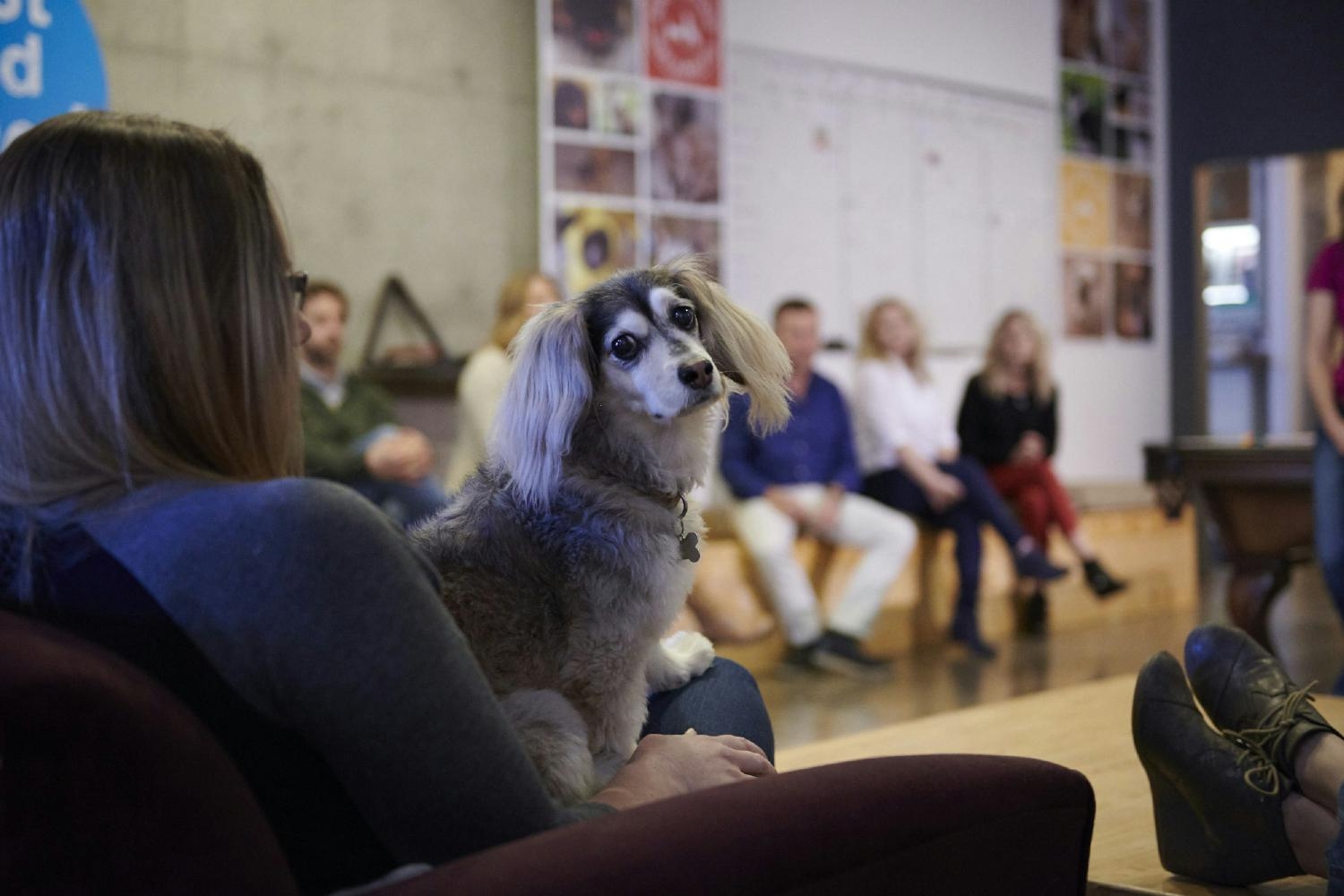 You can always find a friendly companion to join you for team meetings.