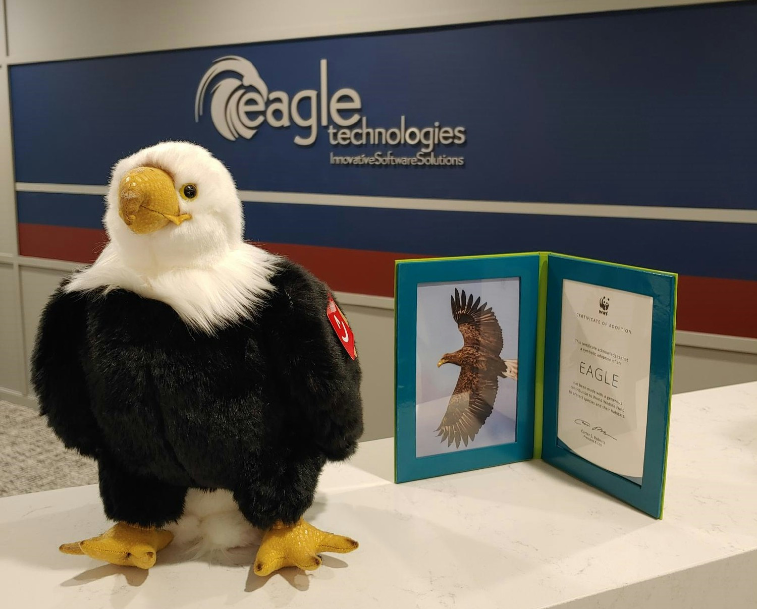 Adopt A Eagle