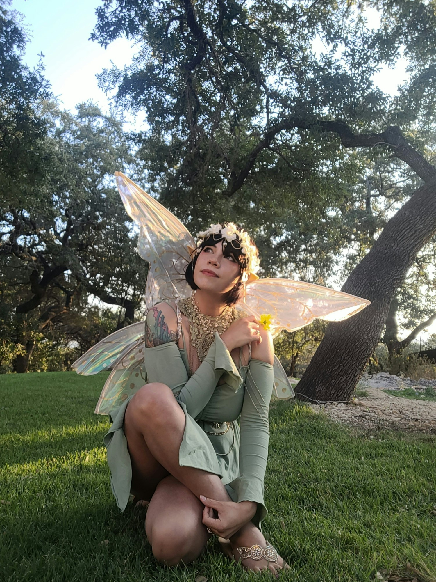 Fairy
