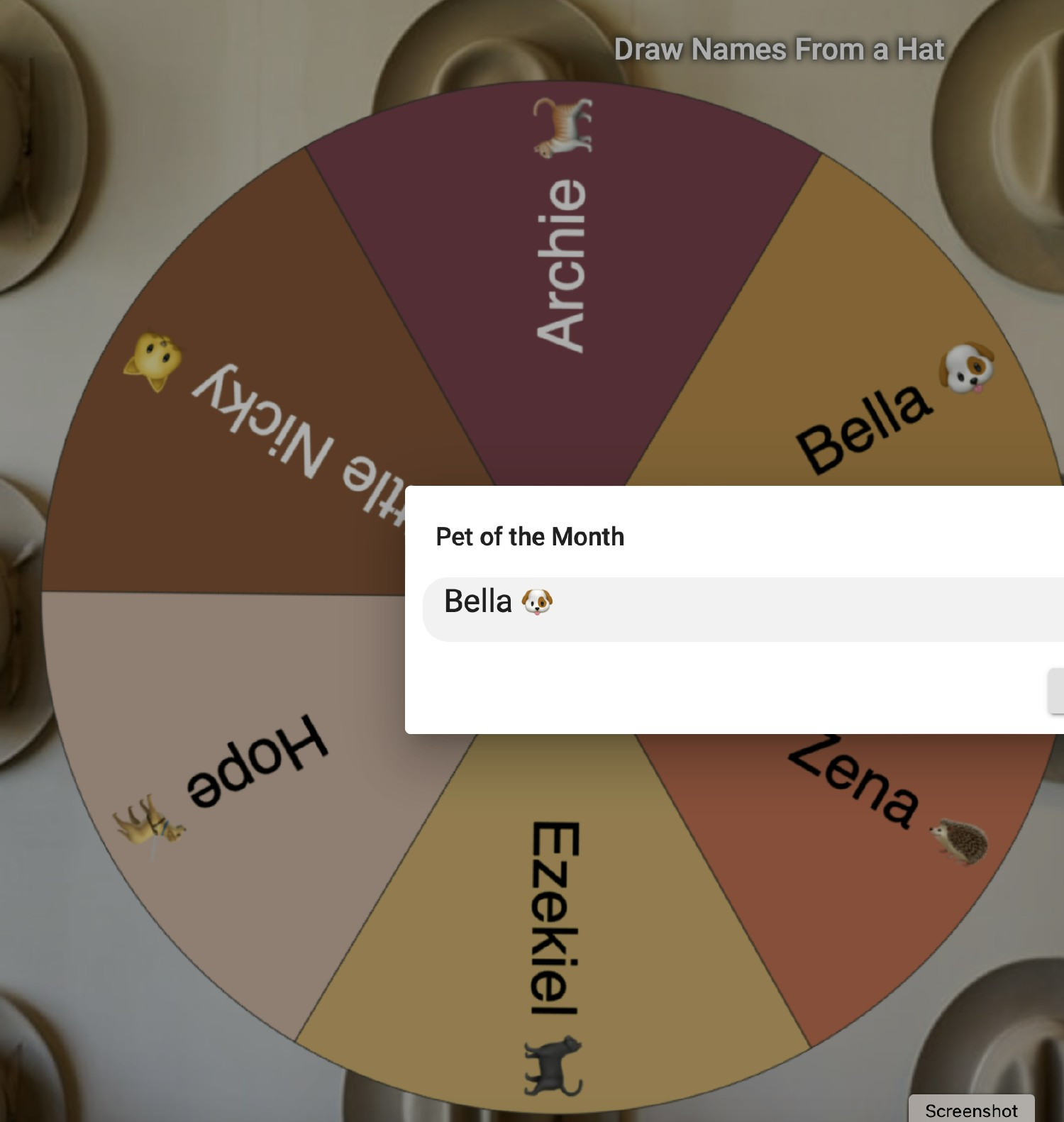 Pet of the Month - Wheel Spin