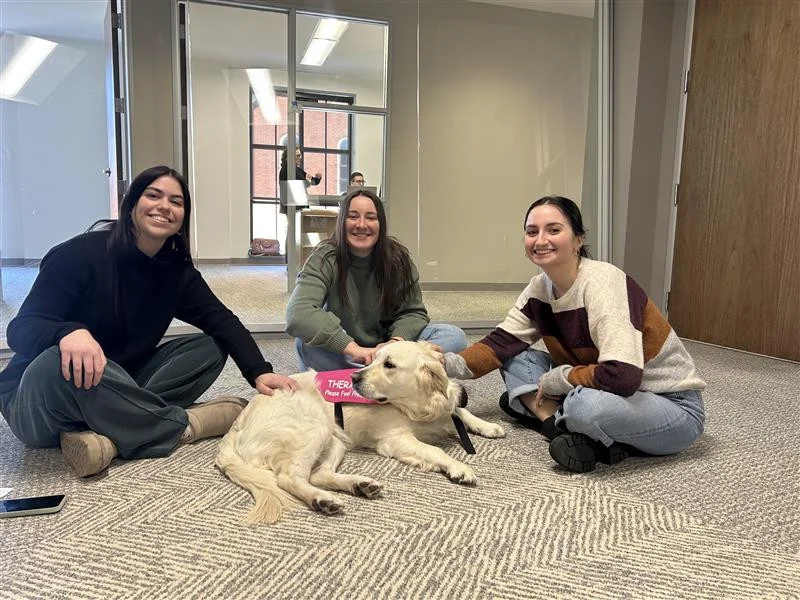 A visit from the SPCA Therapy Dogs during busy season. 
