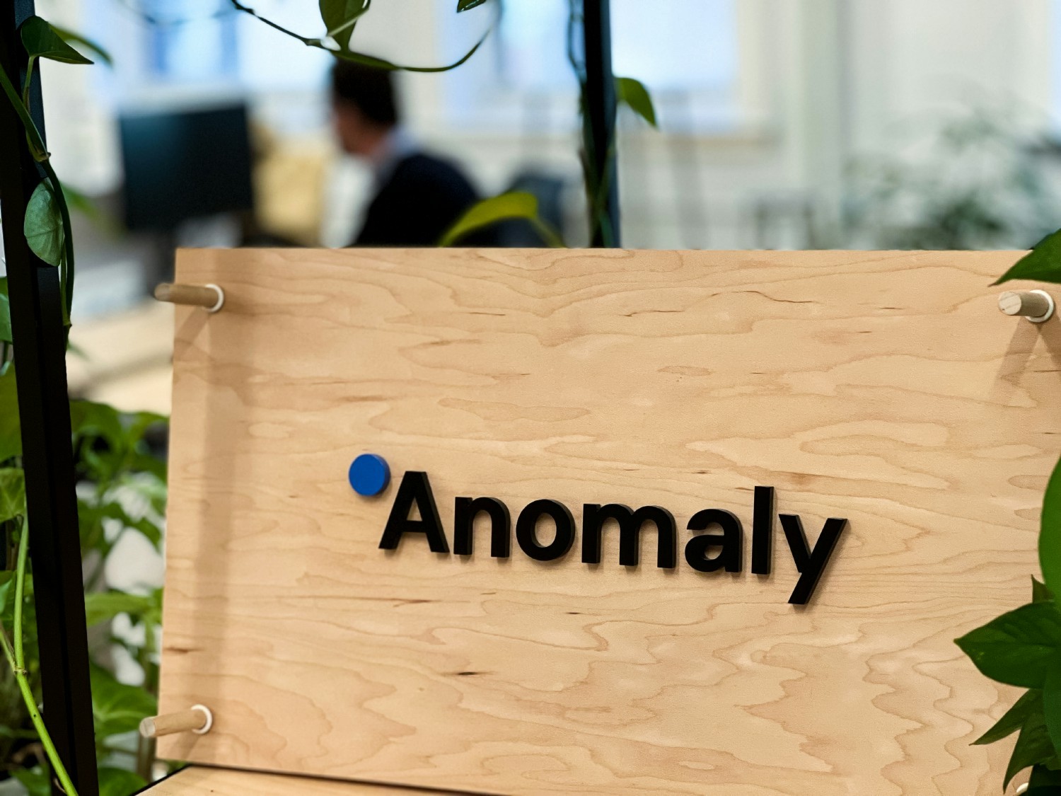 Anomaly logo