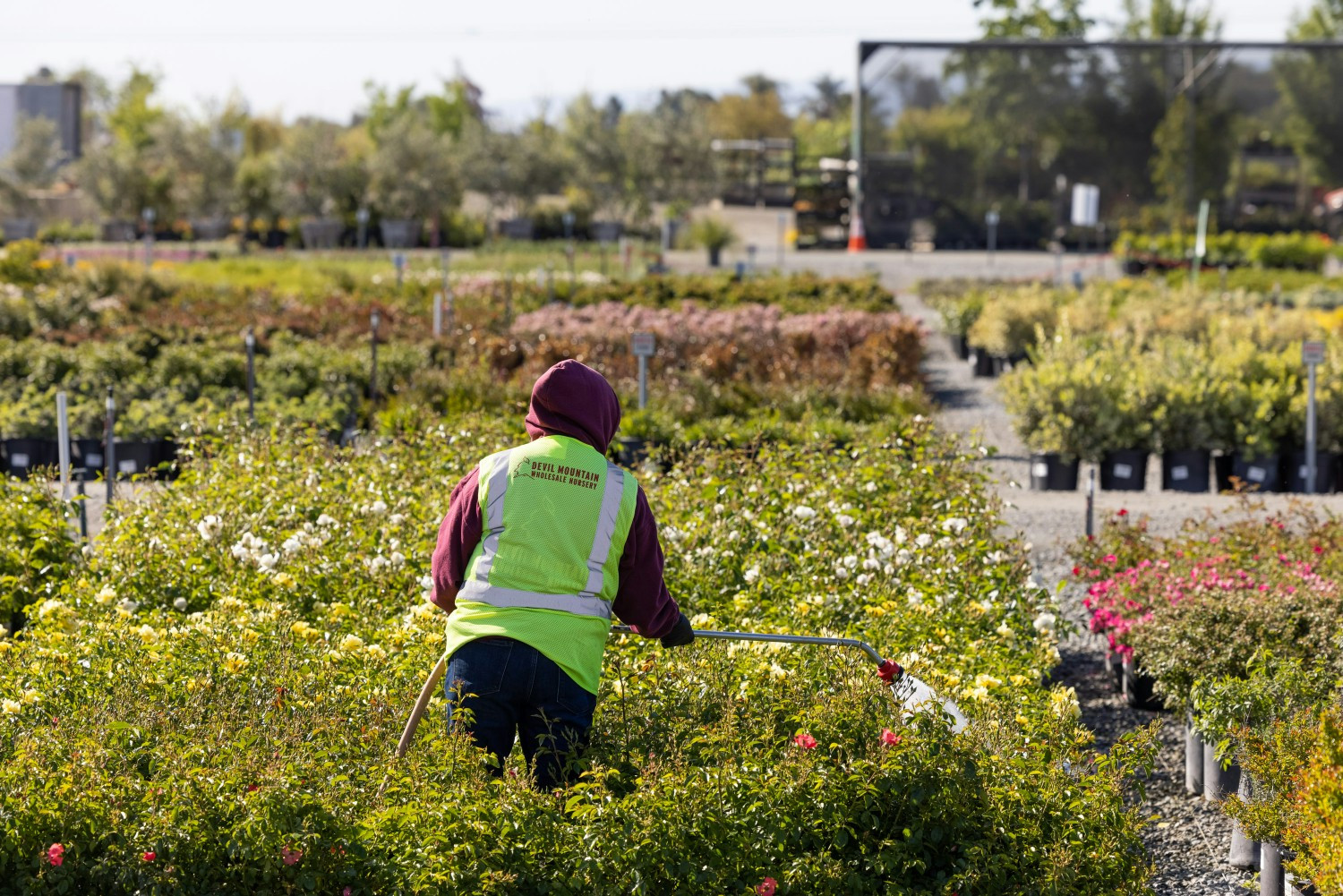 You build landscapes. We provide plants. Together, we’re building community.