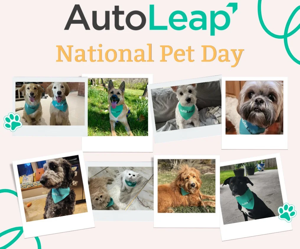We never forget about National Pet Day! 