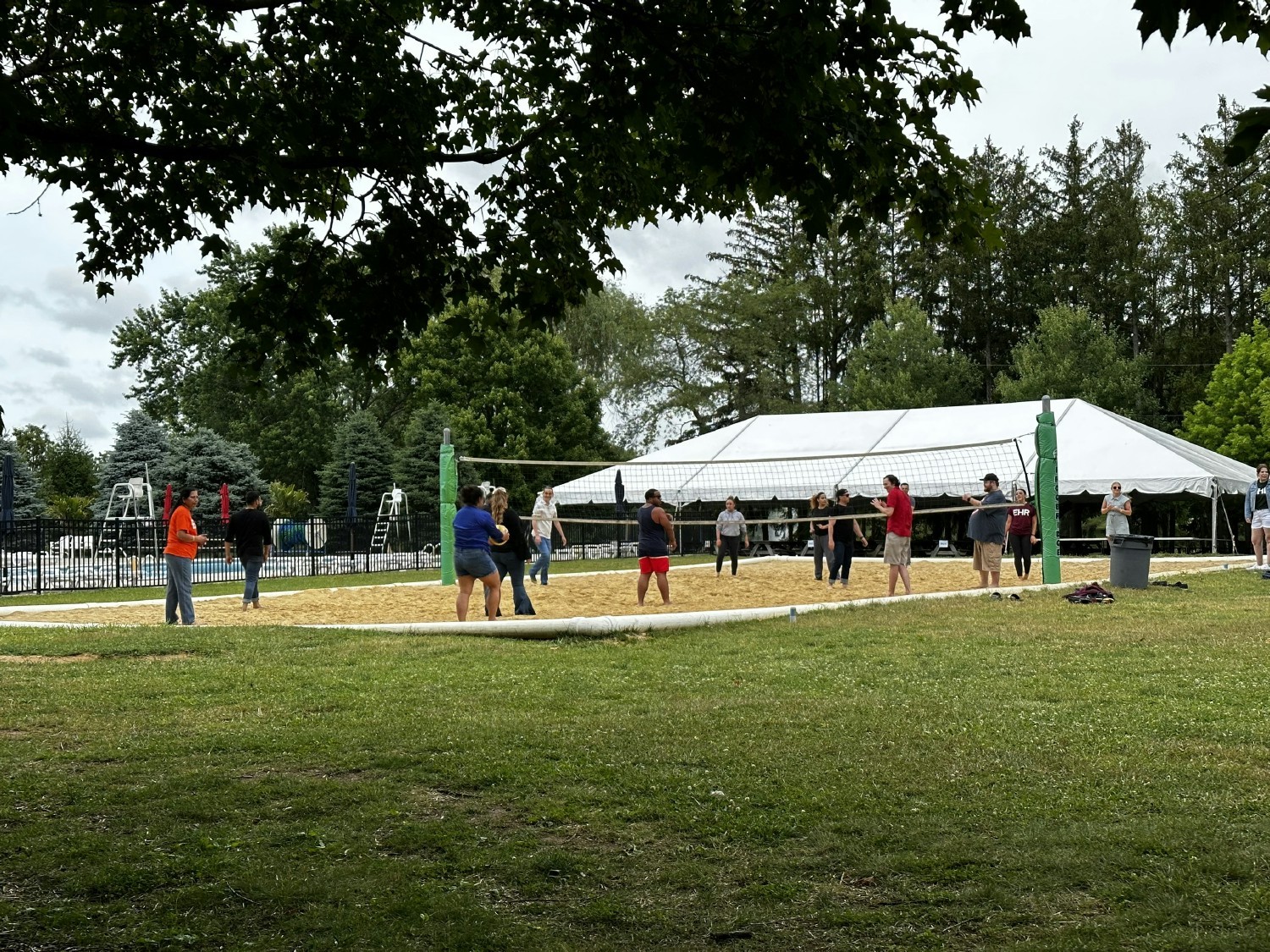 Fun and games at our company summer picnic
