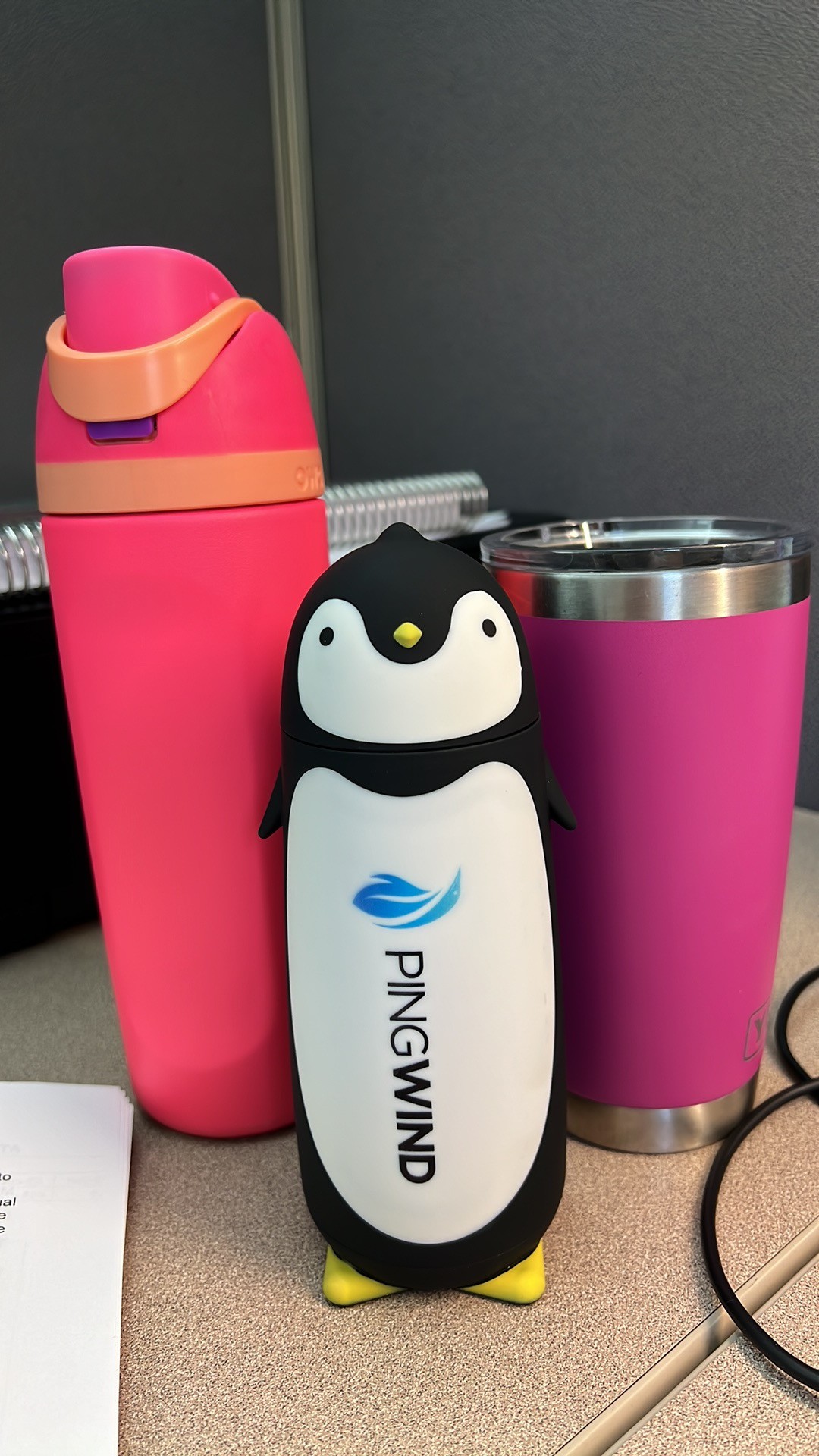 PingWind's mascot, the penguin.