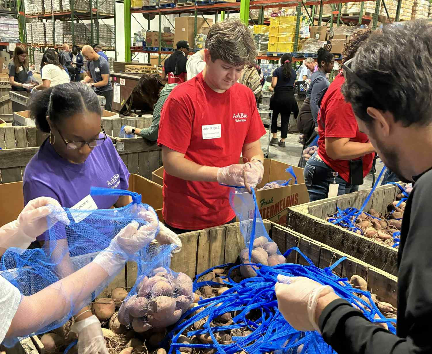 Through Science in Service, AskBio employees volunteered time to pack food, providing 13,500 meals to local families.