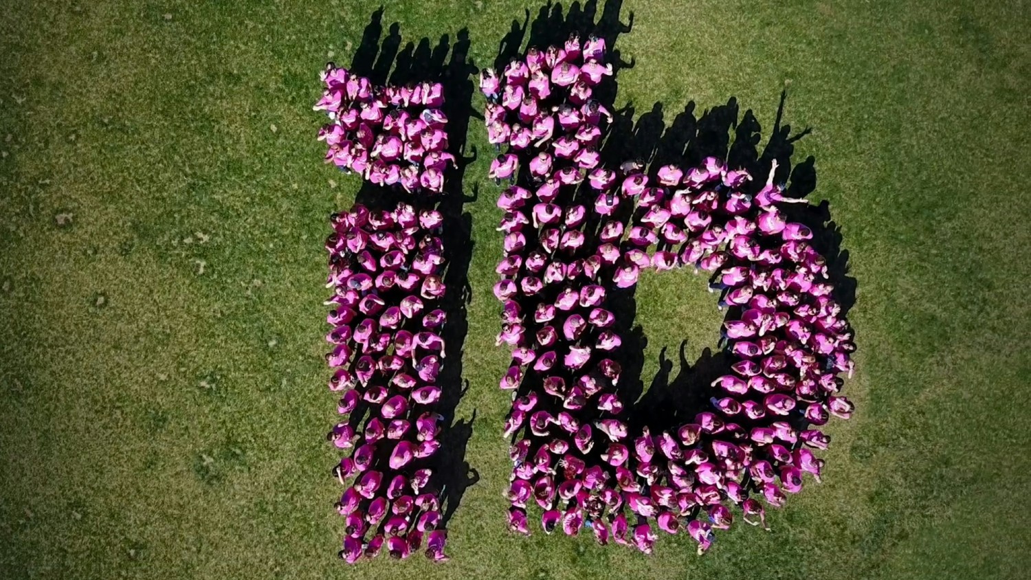 Ibotta employees as our logo - photo taken with a drone!