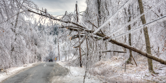 March 2025 ice storm damage
