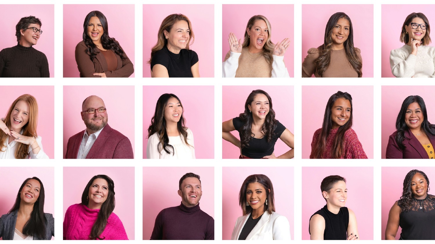 A small selection of some of our team's headshots