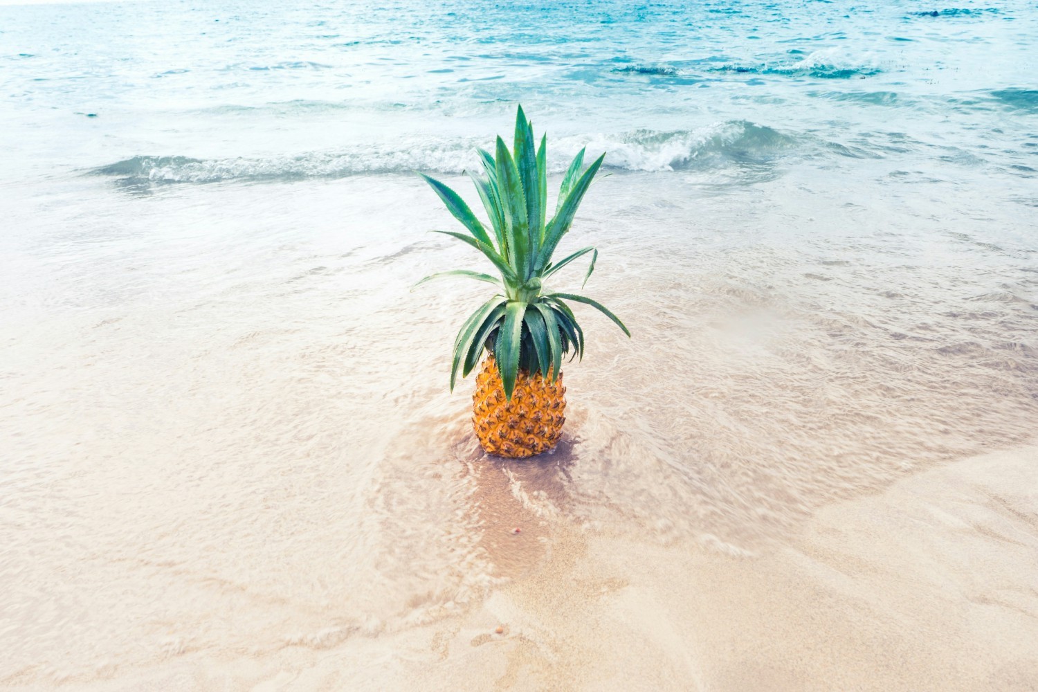 Logo in the water